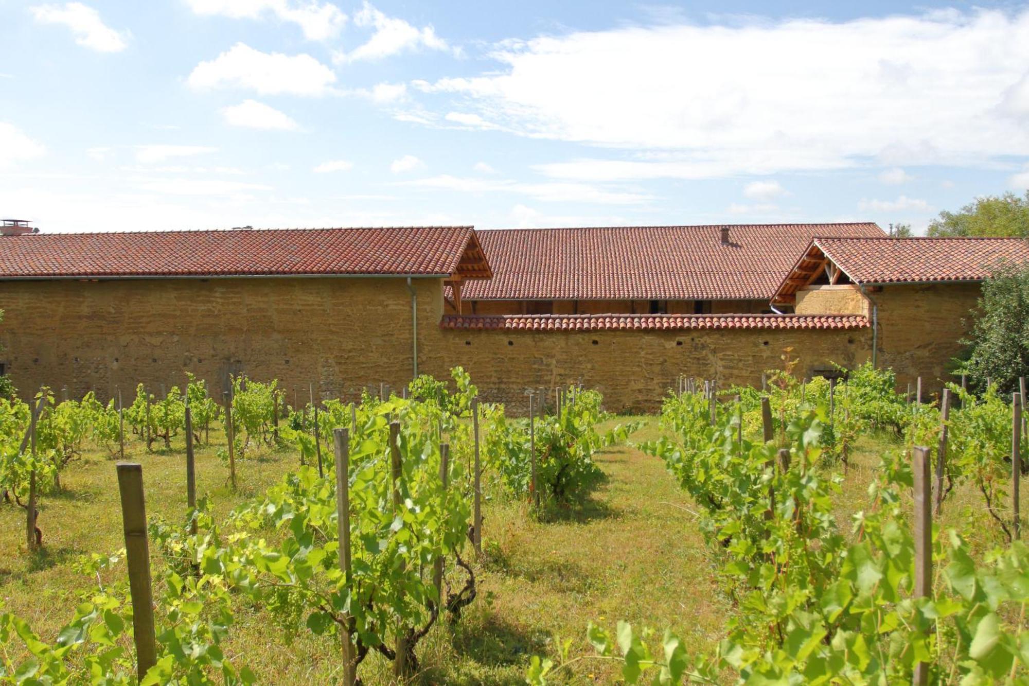 Aparthotel La Ferme De Berlioz La Cote-Saint-Andre Esterno foto